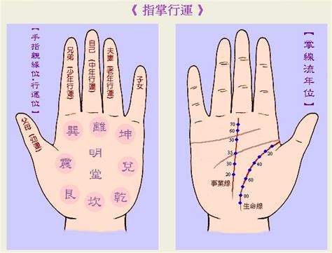 風水指甲|手指甲在手相中的分类及含义三六风水网